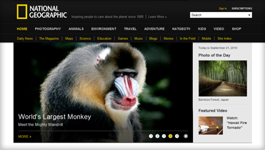 ddos在线攻击测试网站